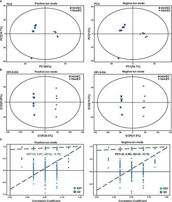 Integrated nontargeted and targeted metabolomics analyses amino acids metabolism in infantile hemangioma